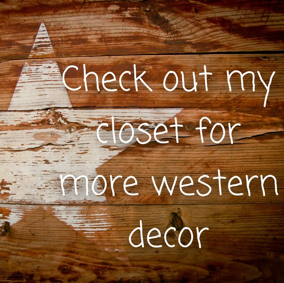 Western Tissue Box - Picture 7 of 9